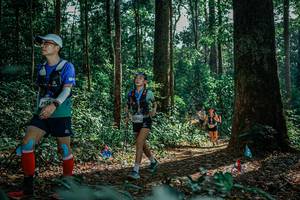 BIB: 
                            <button type="button" onclick="openModal(26133167)" class="btn btn-primary btn-sm float-right btn-popup" data-toggle="modal" data-target=".modal-high-quality">
                        <i class="fas fa-shopping-cart"></i> Add to Cart
                    </button>
                                            <button type="button" onclick="isThisMe(26133167, true)" class="btn btn-success btn-sm float-right btn-popup btn-isme hidden" data-toggle="tooltip" data-placement="bottom" title="นี่คือรูปของคุณใช่ไหม คลิกที่นี่เพื่อเอาเข้าอัลบั้ม">
                        <i class="fas fa-plus"></i> Add to album
                    </button>
                    <button type="button" onclick="isThisMe(26133167, false)" class="btn btn-warning btn-sm float-right btn-popup btn-isnotme hidden">
                        <i class="fas fa-ban"></i> Remove from album
                    </button>